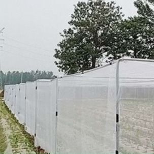 4m Wide Tear Resistant HDPE Black Insect Net with 50 Mesh