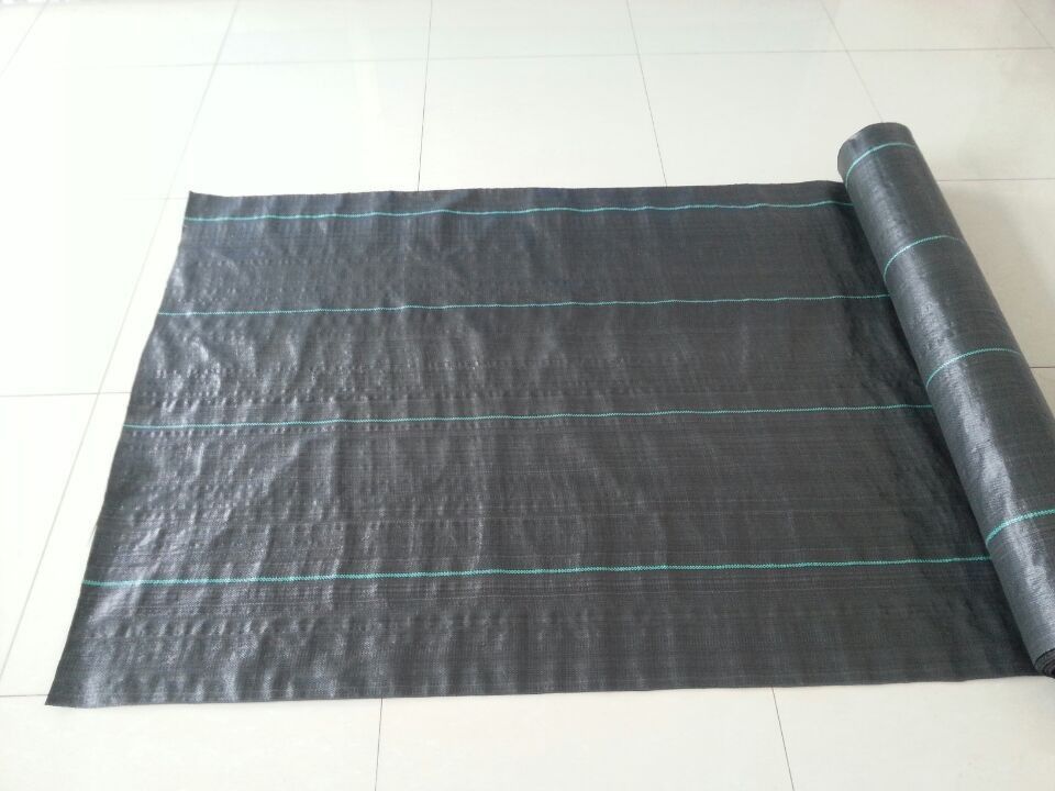 90gsm Polypropylene Ground Cover Anti Weed PP Woven Fabric Weed Control Ground Cover