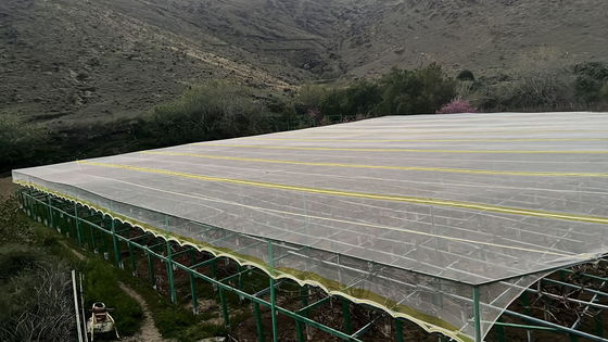 HDPE UV được xử lý chống côn trùng lưới nông nghiệp cung cấp chống nước mắt